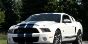 Shelby Ford Mustang GT500 Patriot Edition 2009