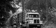 Scania LS140 Timber Truck 1968-1972