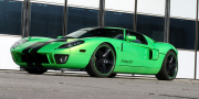 Geiger Ford GT HP790 2009