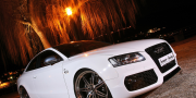 Senner Audi S5 White Beast 2010