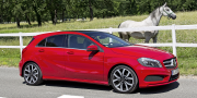 Mercedes a-200-cdi style package w176 2012