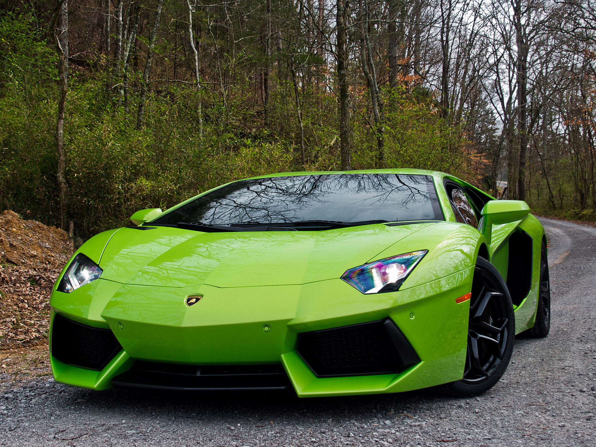 Car in pictures - car photo gallery » Lamborghini ...
