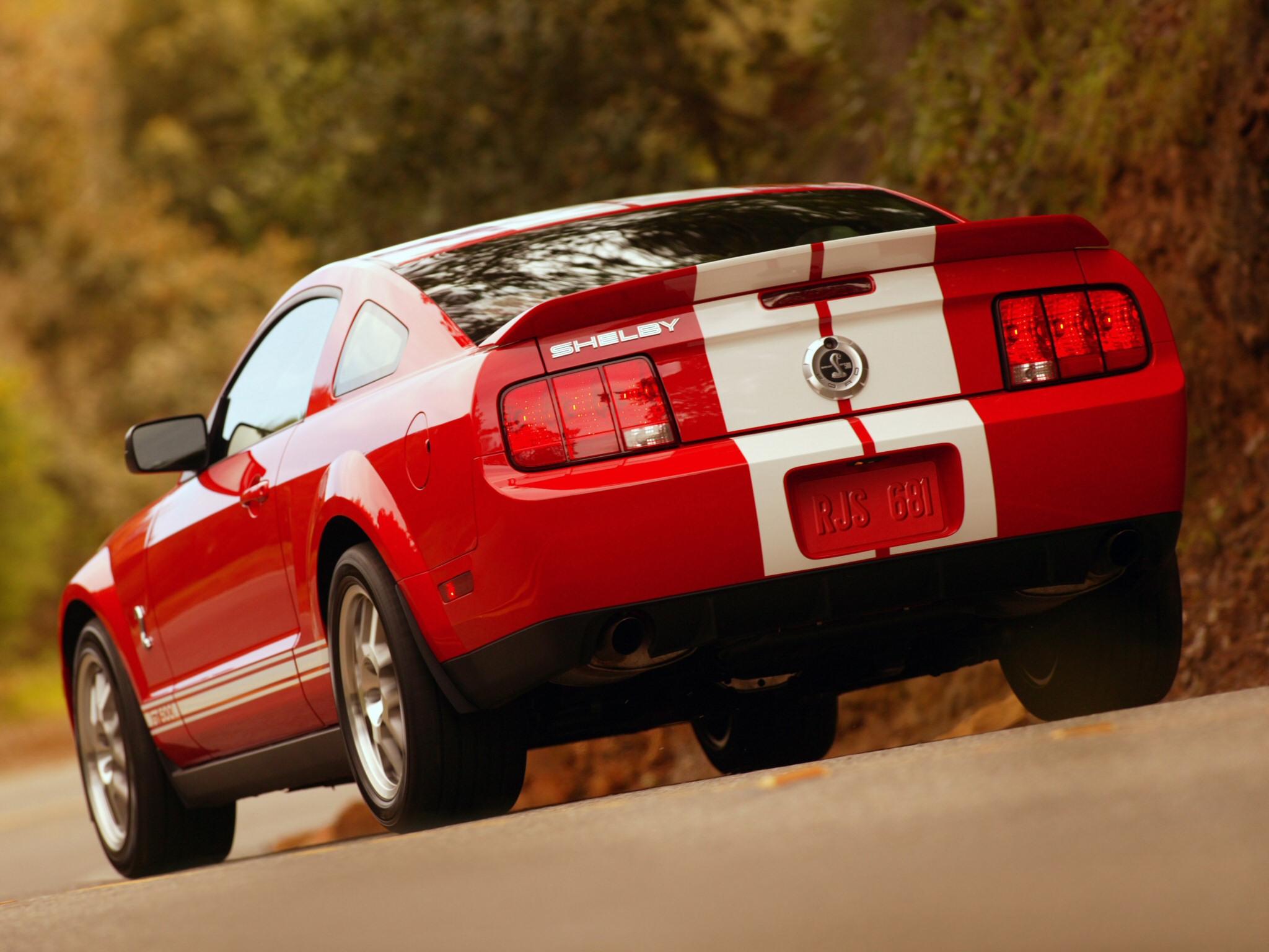 Ford Mustang Shelby gt500 сзади